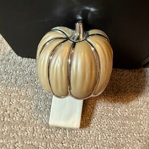 Bath and Body Works Pumpkin Wall Flower